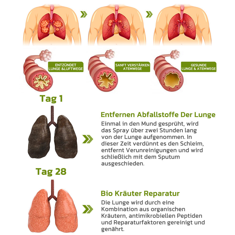 GFOUK™️ BreathDetox Kräuter-Lungenreinigungsspray